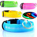 LED light - up dog collar for night safety, USB rechargeable