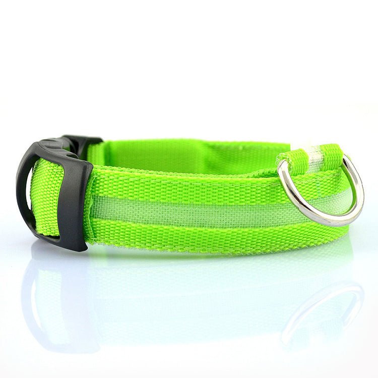 High visibility LED dog collar glowing in the dark Green