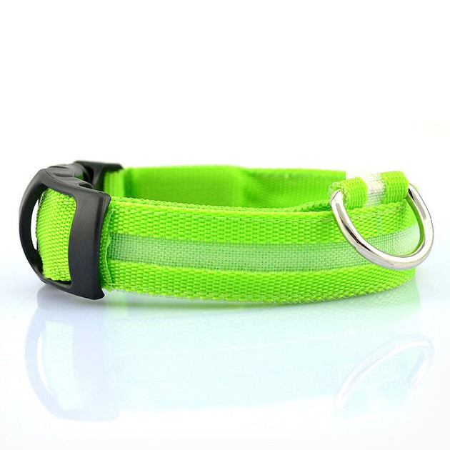 High visibility LED dog collar glowing in the dark Green