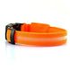 High visibility LED dog collar glowing in the dark Orange