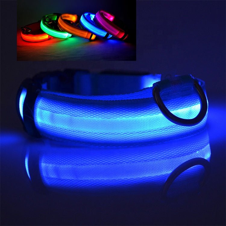 High visibility LED dog collar glowing in the dark Blue