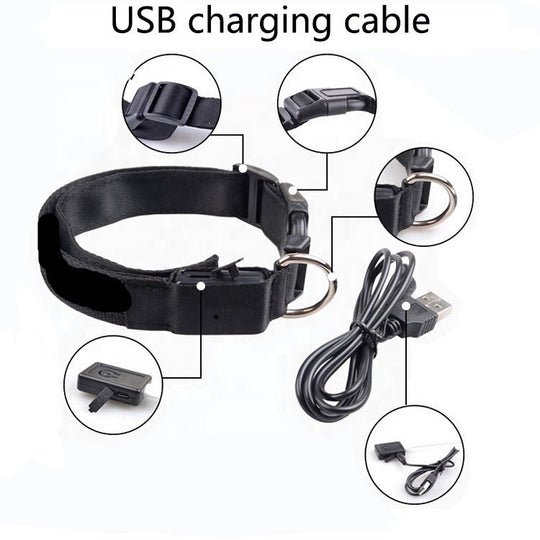 USB charging port and quick - release buckle on LED dog collar