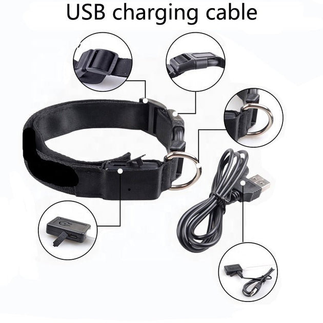 USB charging port and quick - release buckle on LED dog collar