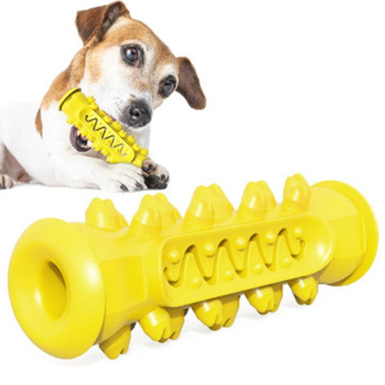 Dog playing with a Rubber Dog Chew Toy on a white background
