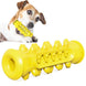 Dog playing with a Rubber Dog Chew Toy on a white background