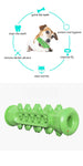 Green Rubber Dog Chew Toy with a diagram showing its benefits for dental health on a white background.