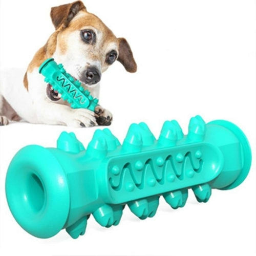 Dog playing with a teal Rubber Dog Chew Toy to on a white background